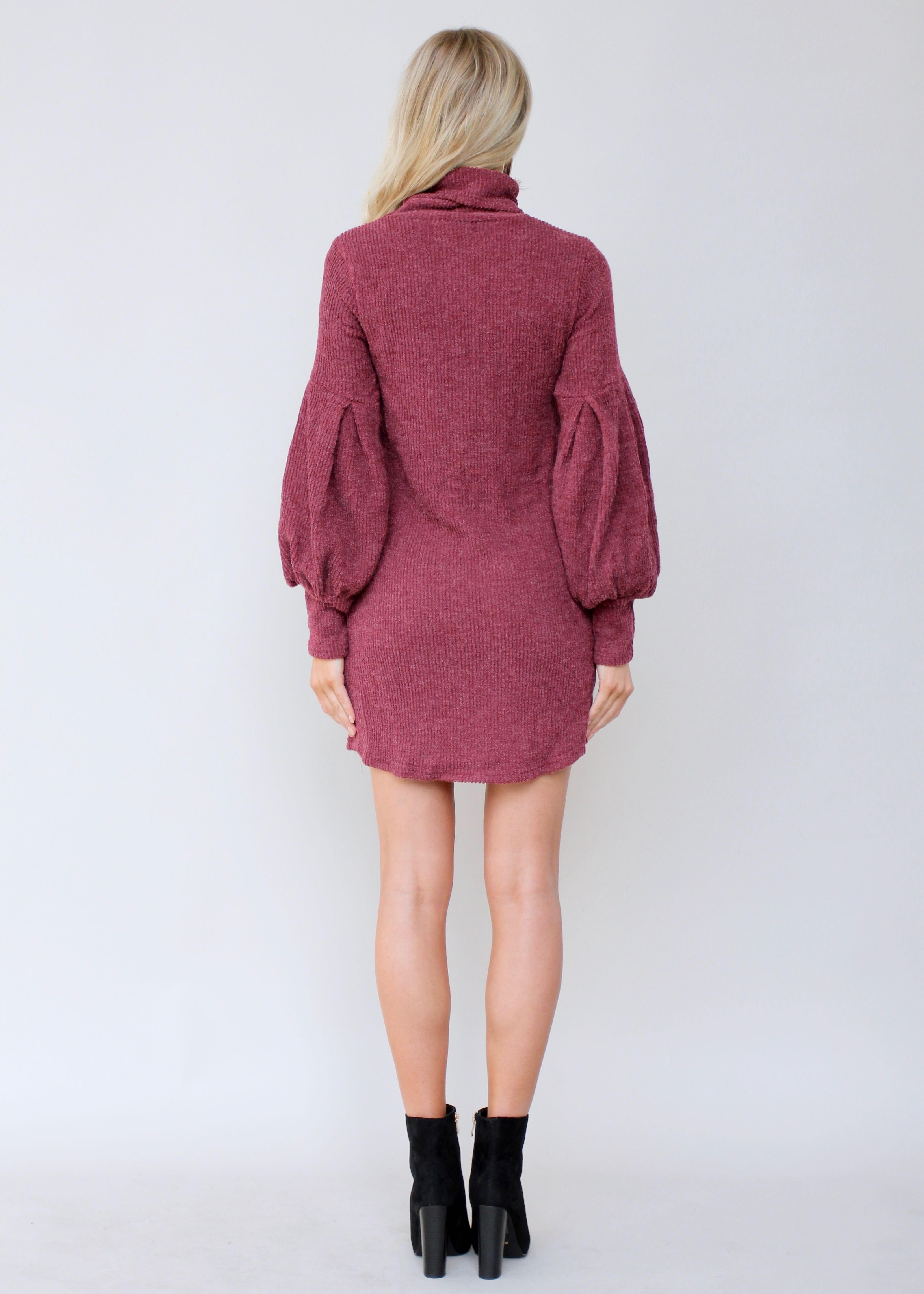 Ayana Roll Neck Knit Dress - Wine