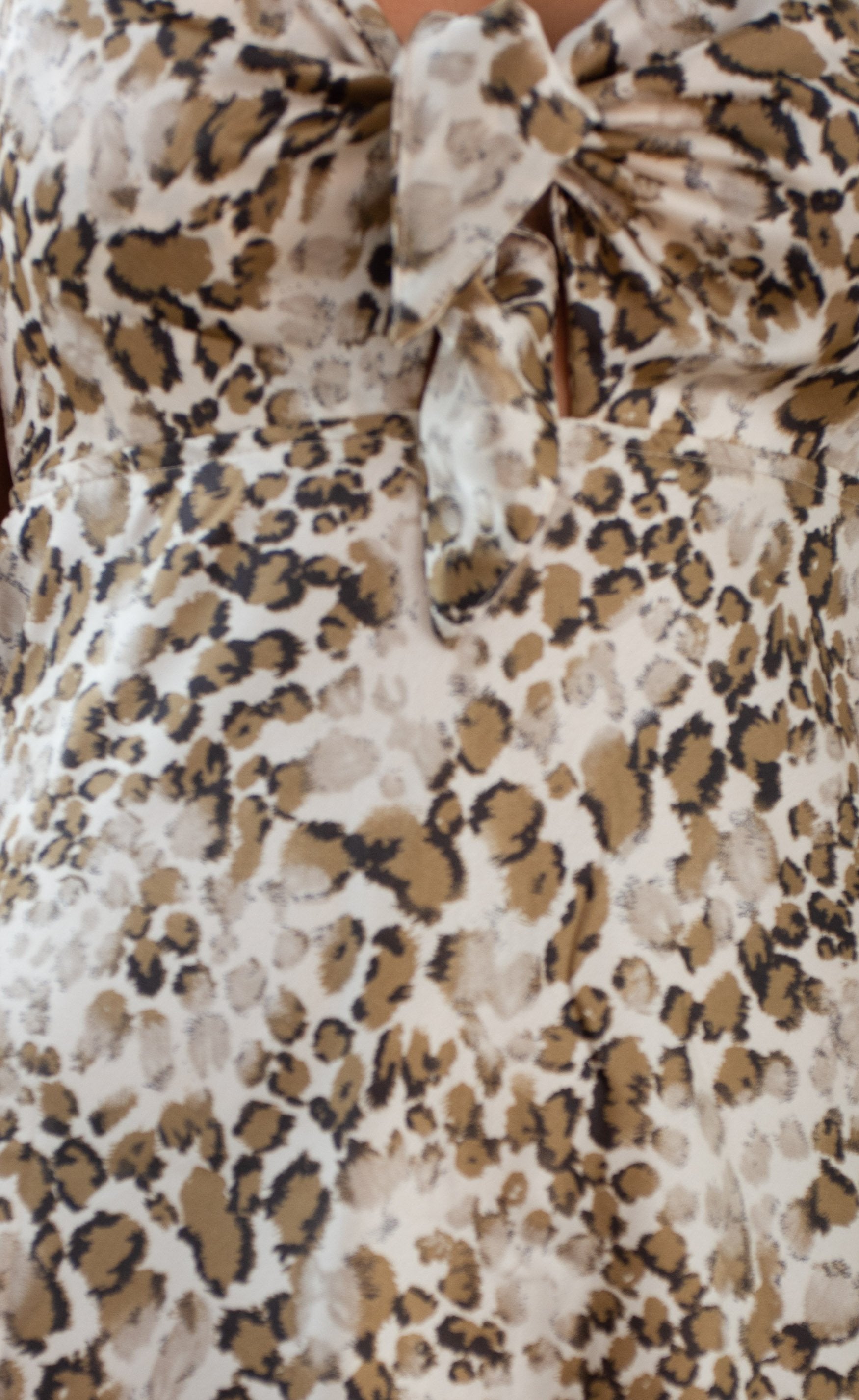 Lilah Tie Dress - Champagne Leopard