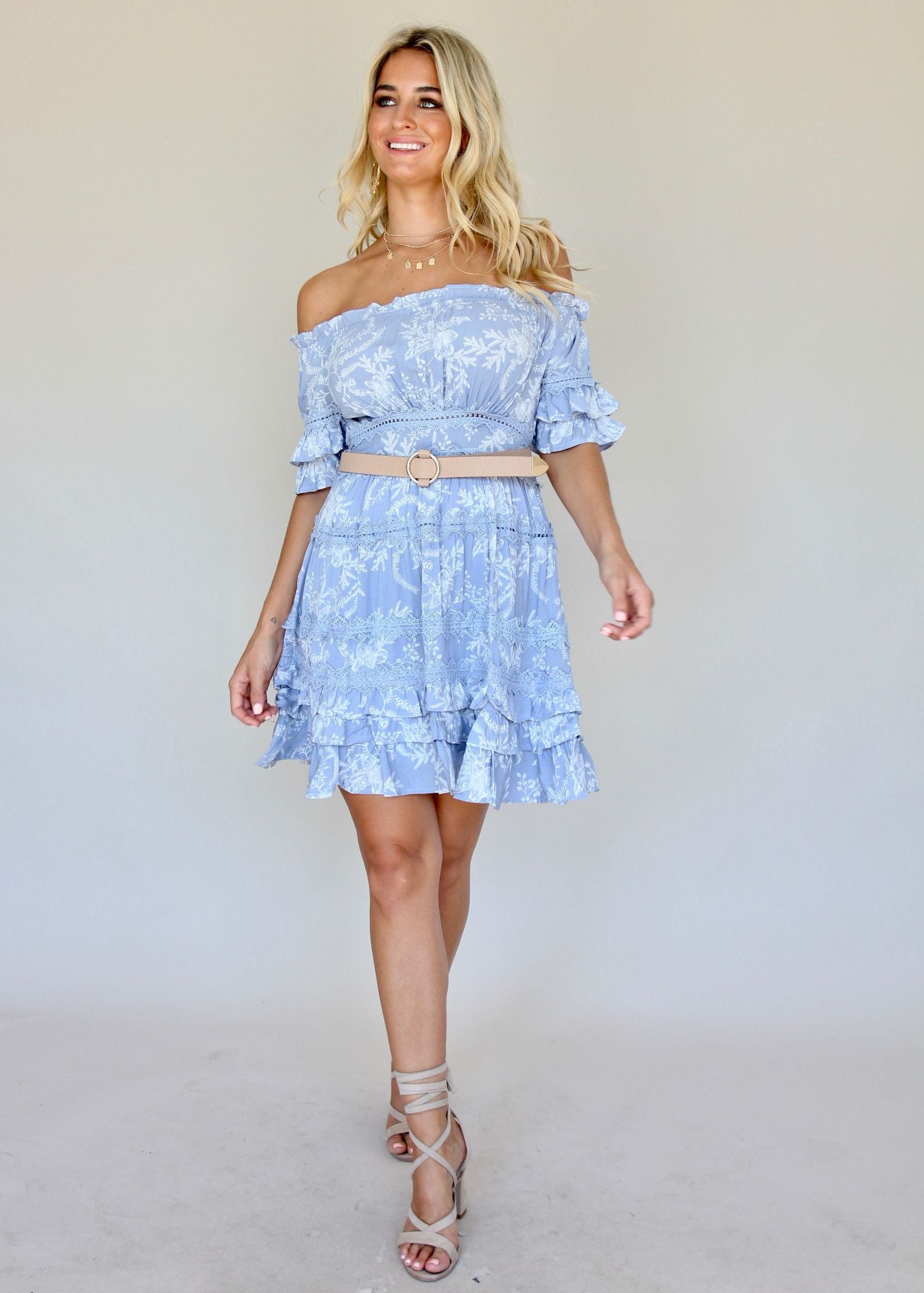 Santiago Swing Dress - Cinderella