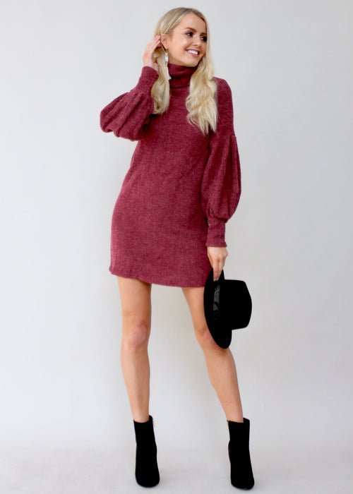 Ayana Roll Neck Knit Dress - Wine